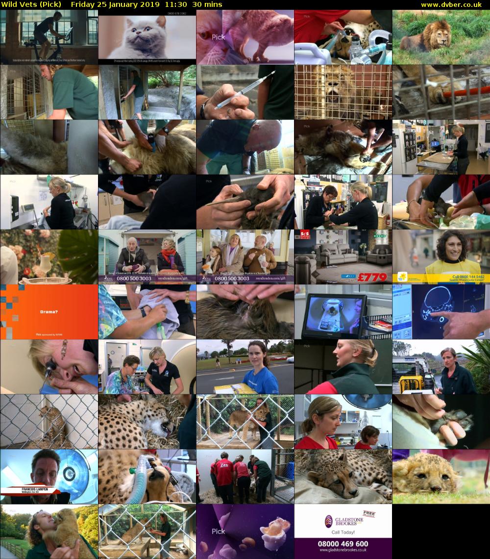 Wild Vets (Pick) Friday 25 January 2019 11:30 - 12:00