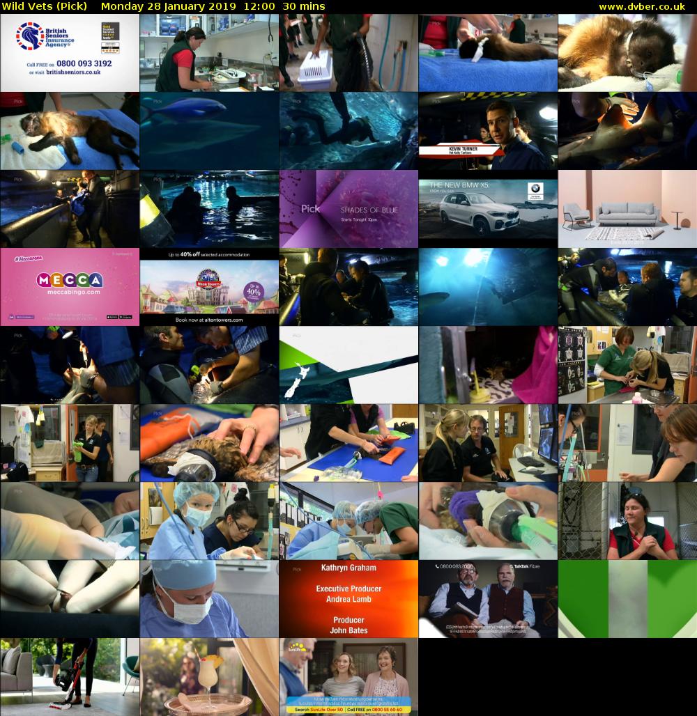 Wild Vets (Pick) Monday 28 January 2019 12:00 - 12:30