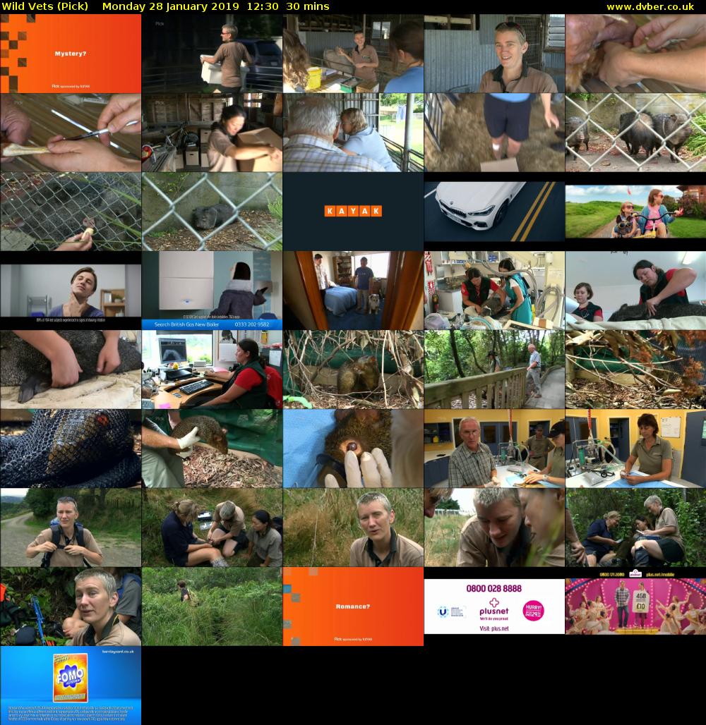 Wild Vets (Pick) Monday 28 January 2019 12:30 - 13:00