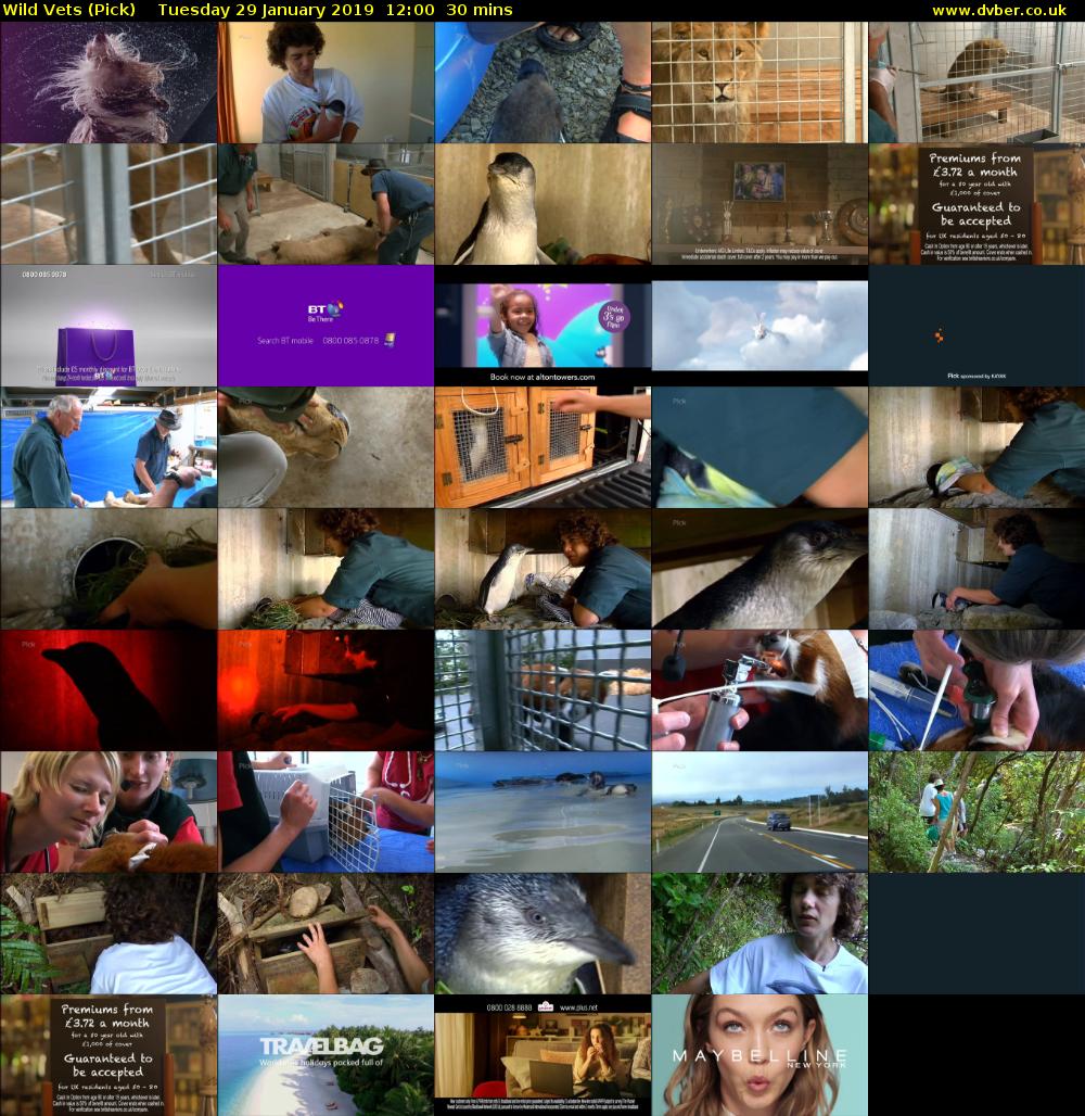 Wild Vets (Pick) Tuesday 29 January 2019 12:00 - 12:30