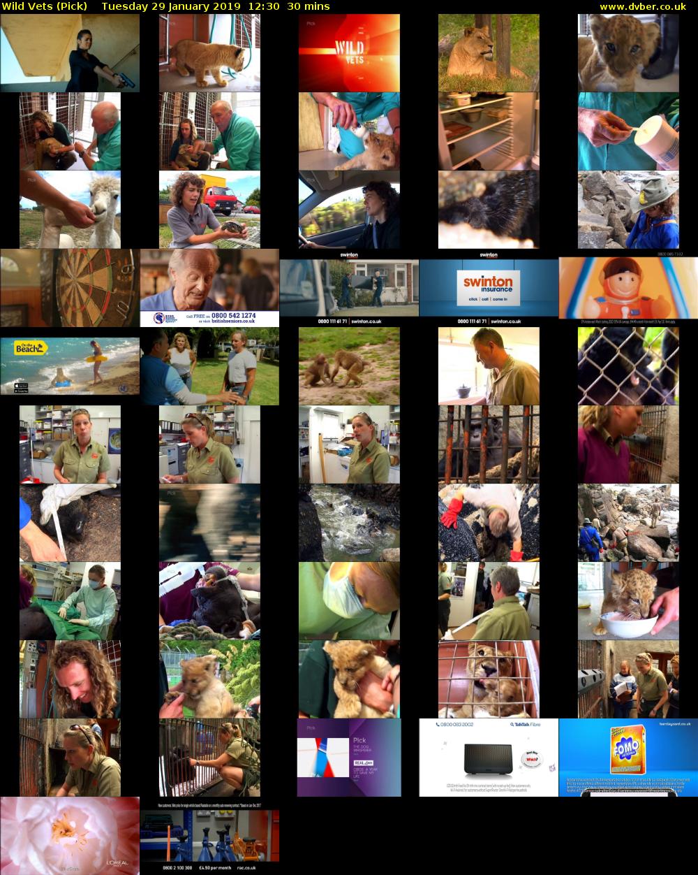 Wild Vets (Pick) Tuesday 29 January 2019 12:30 - 13:00