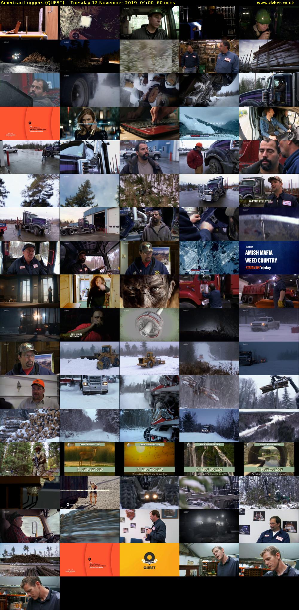 American Loggers (QUEST) Tuesday 12 November 2019 04:00 - 05:00