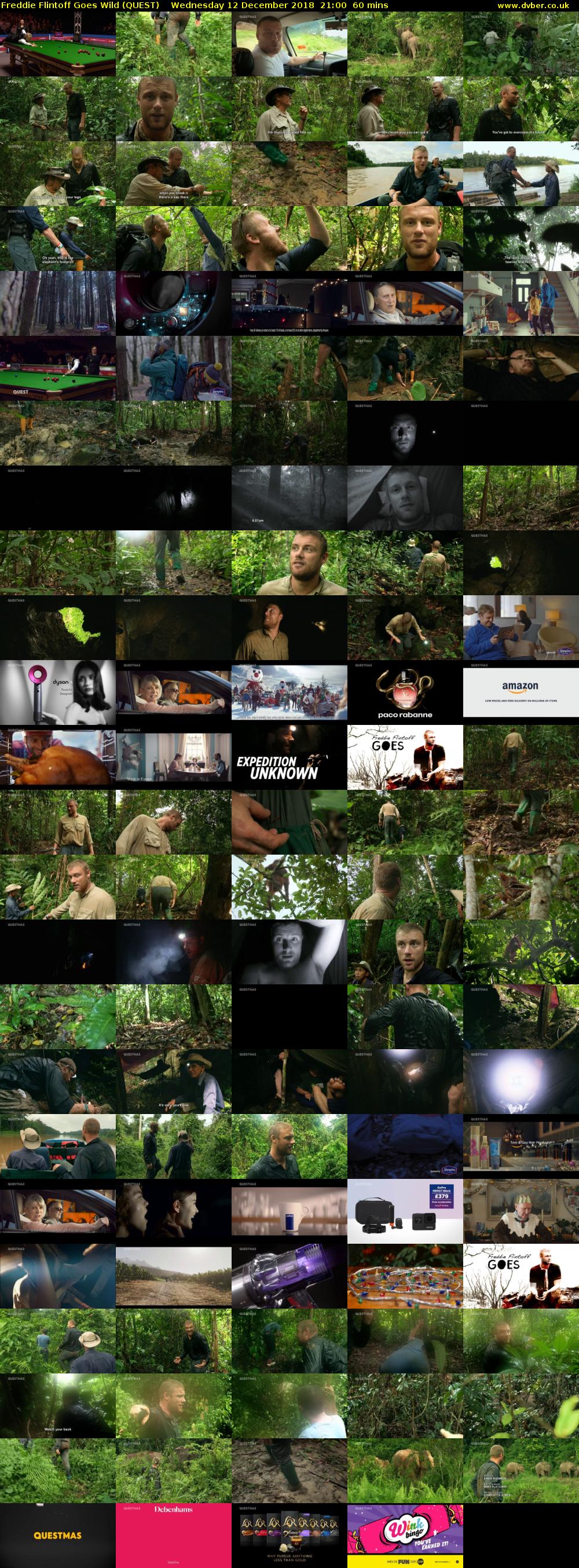 Freddie Flintoff Goes Wild (QUEST) Wednesday 12 December 2018 21:00 - 22:00