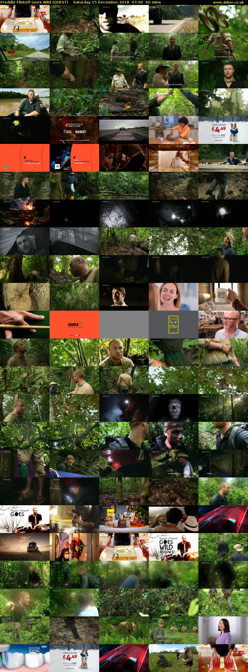 Freddie Flintoff Goes Wild (QUEST) Saturday 15 December 2018 07:00 - 08:00