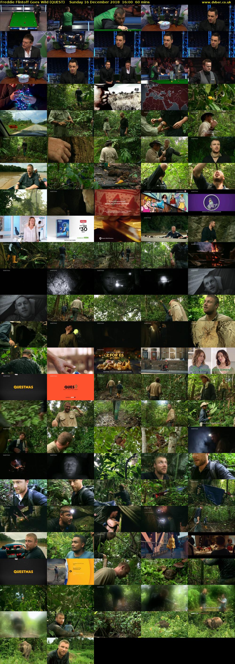 Freddie Flintoff Goes Wild (QUEST) Sunday 16 December 2018 16:00 - 17:00