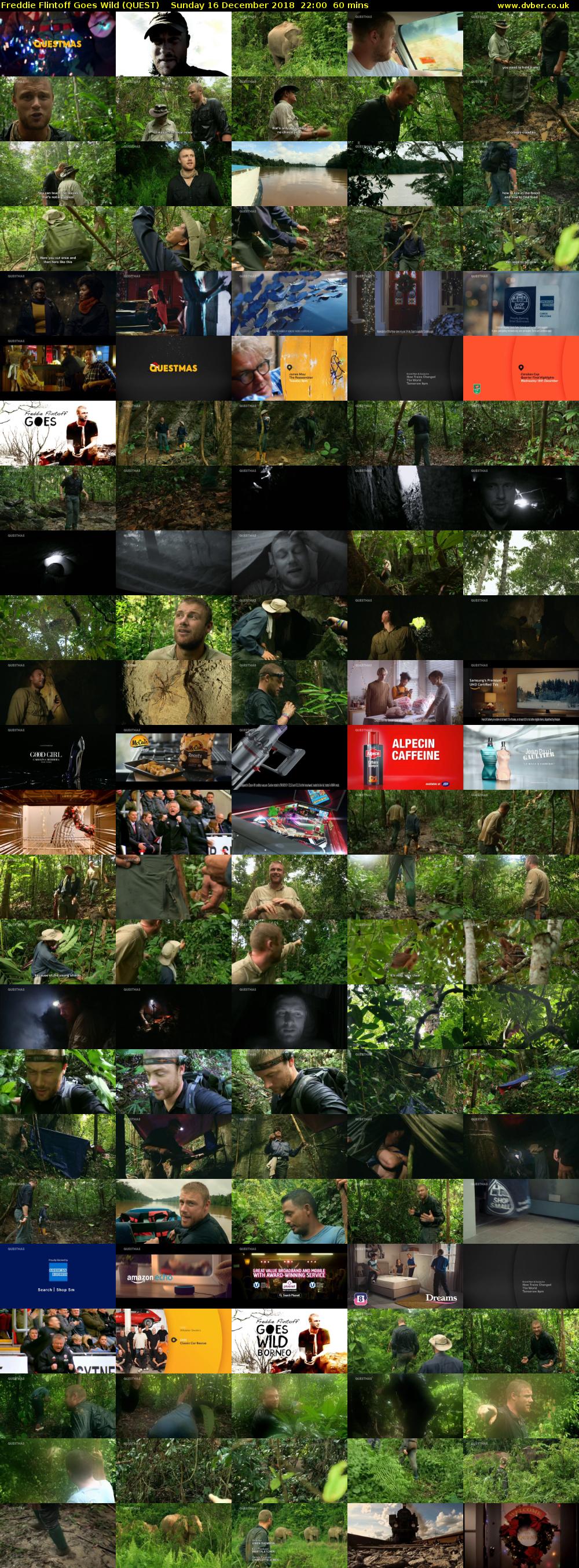 Freddie Flintoff Goes Wild (QUEST) Sunday 16 December 2018 22:00 - 23:00