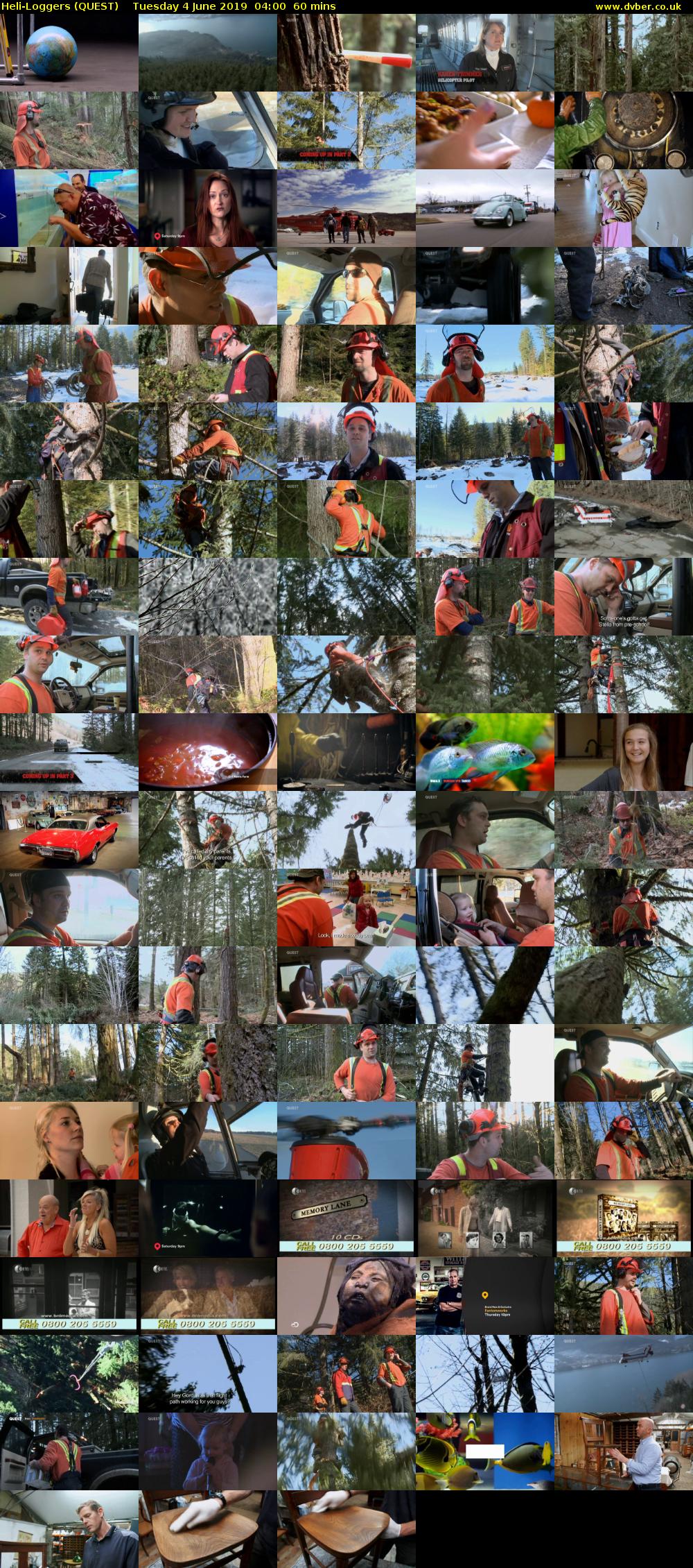 Heli-Loggers (QUEST) Tuesday 4 June 2019 04:00 - 05:00