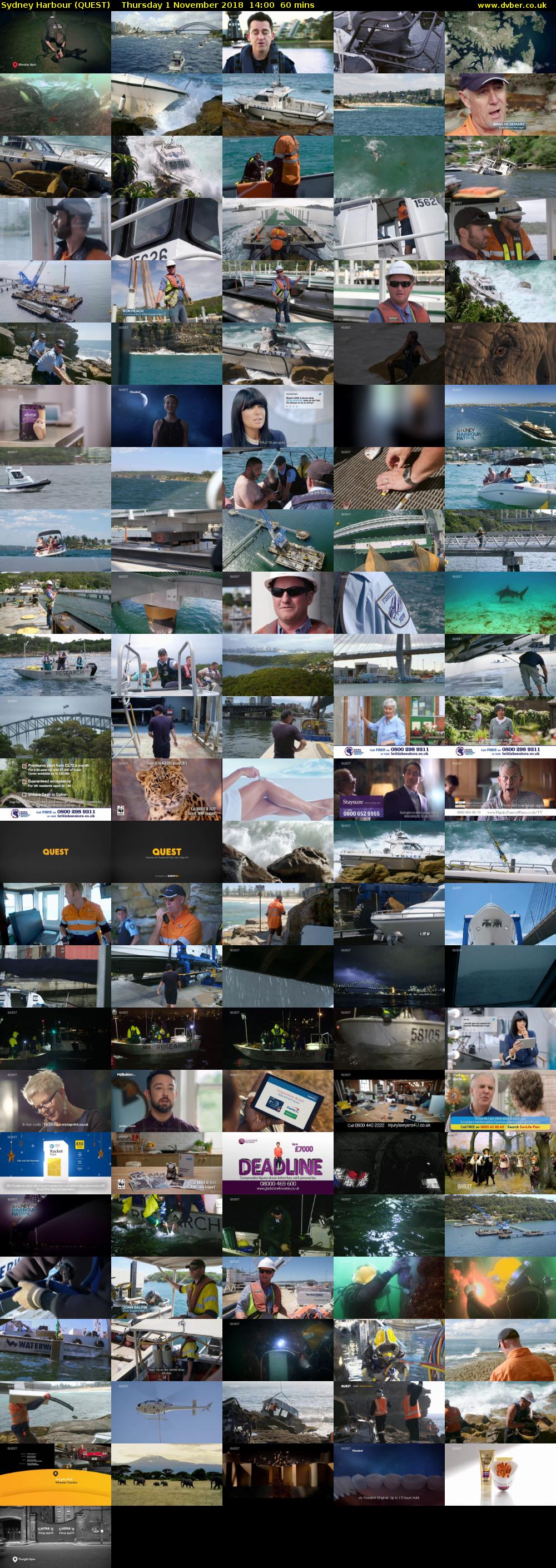 Sydney Harbour (QUEST) Thursday 1 November 2018 14:00 - 15:00