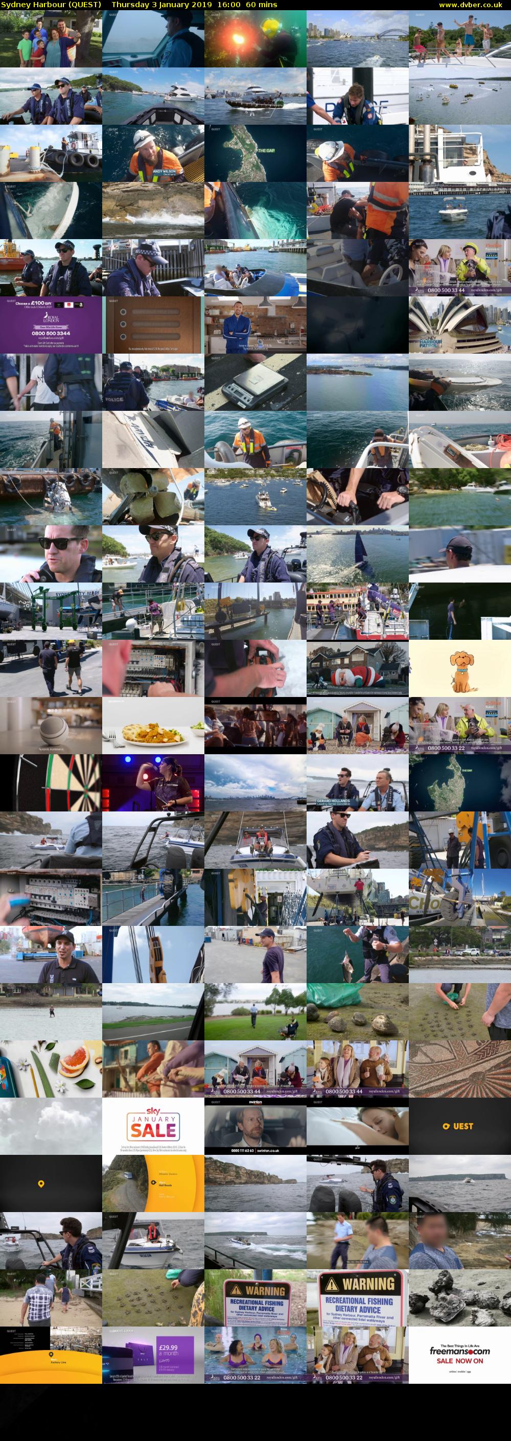 Sydney Harbour (QUEST) Thursday 3 January 2019 16:00 - 17:00
