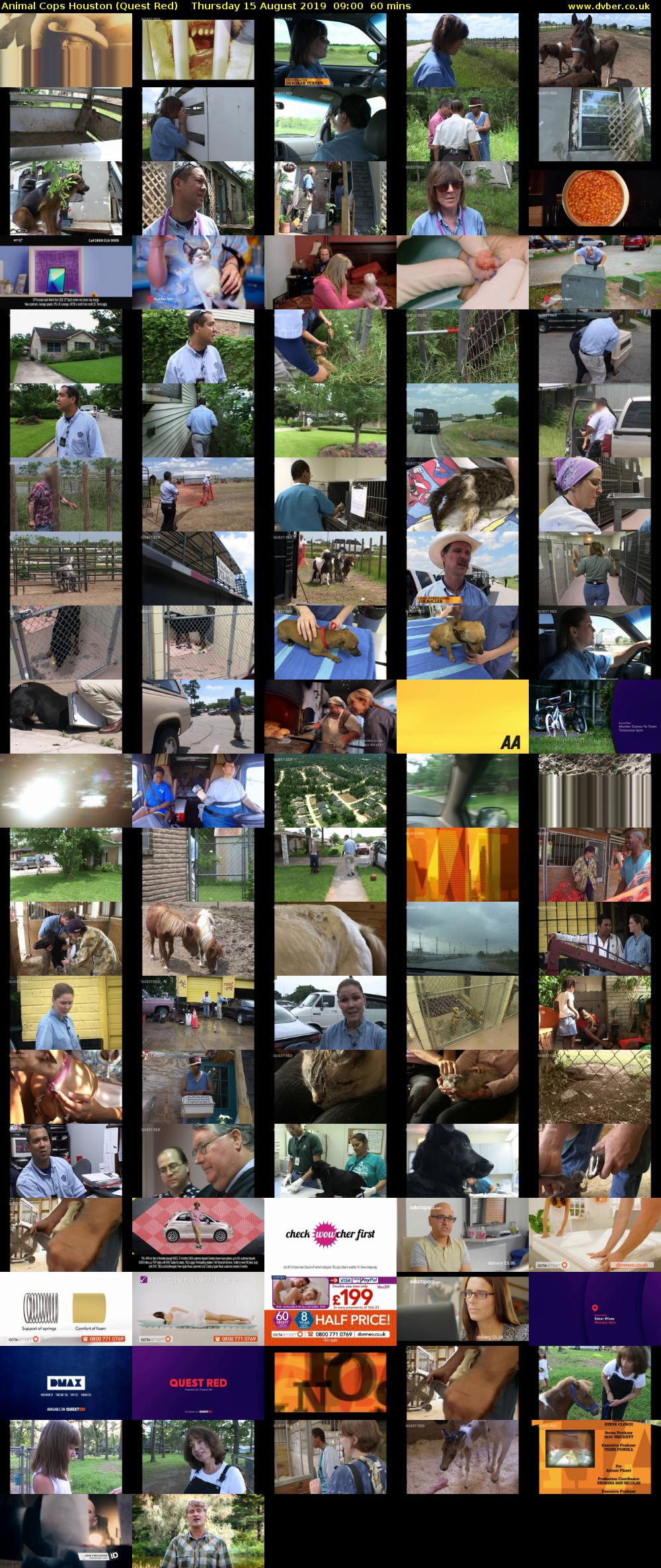 Animal Cops Houston (Quest Red) Thursday 15 August 2019 09:00 - 10:00