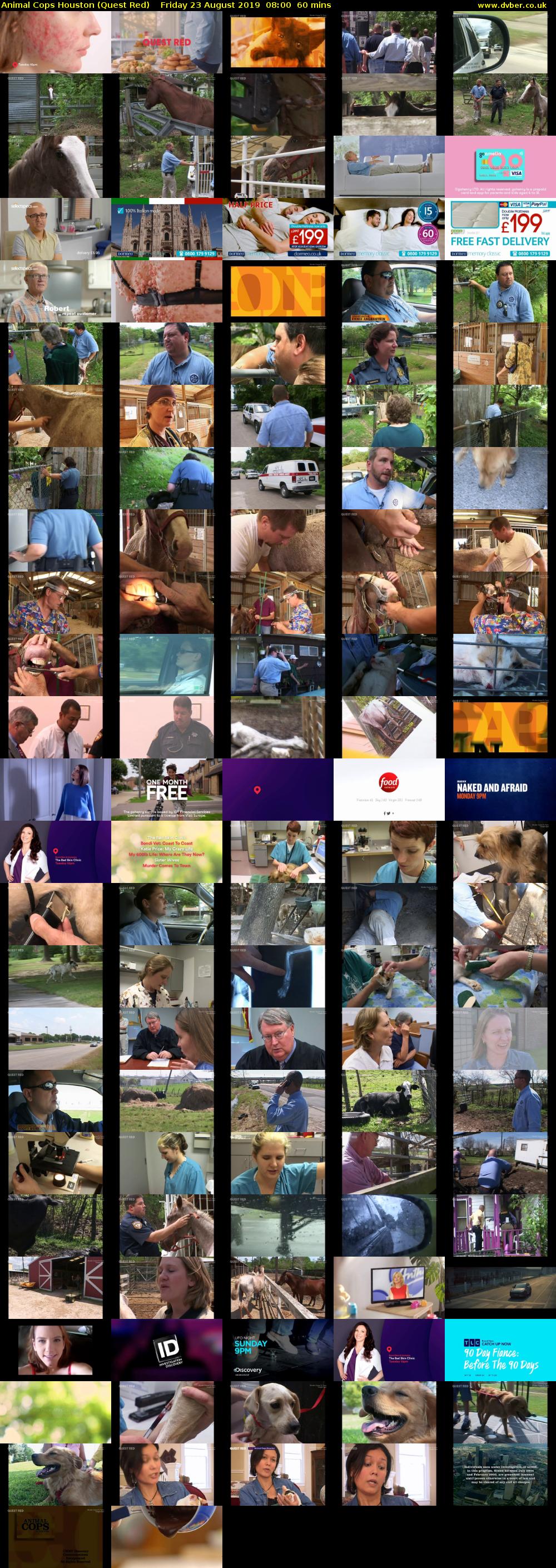 Animal Cops Houston (Quest Red) Friday 23 August 2019 08:00 - 09:00