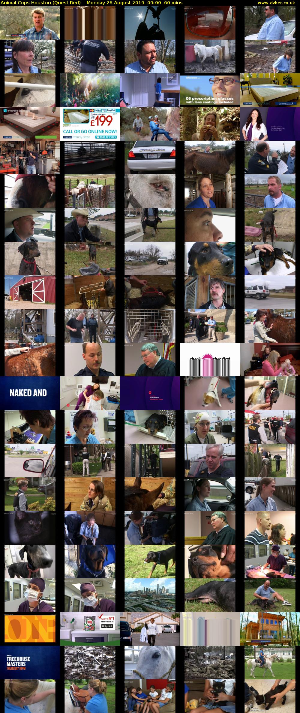 Animal Cops Houston (Quest Red) Monday 26 August 2019 09:00 - 10:00