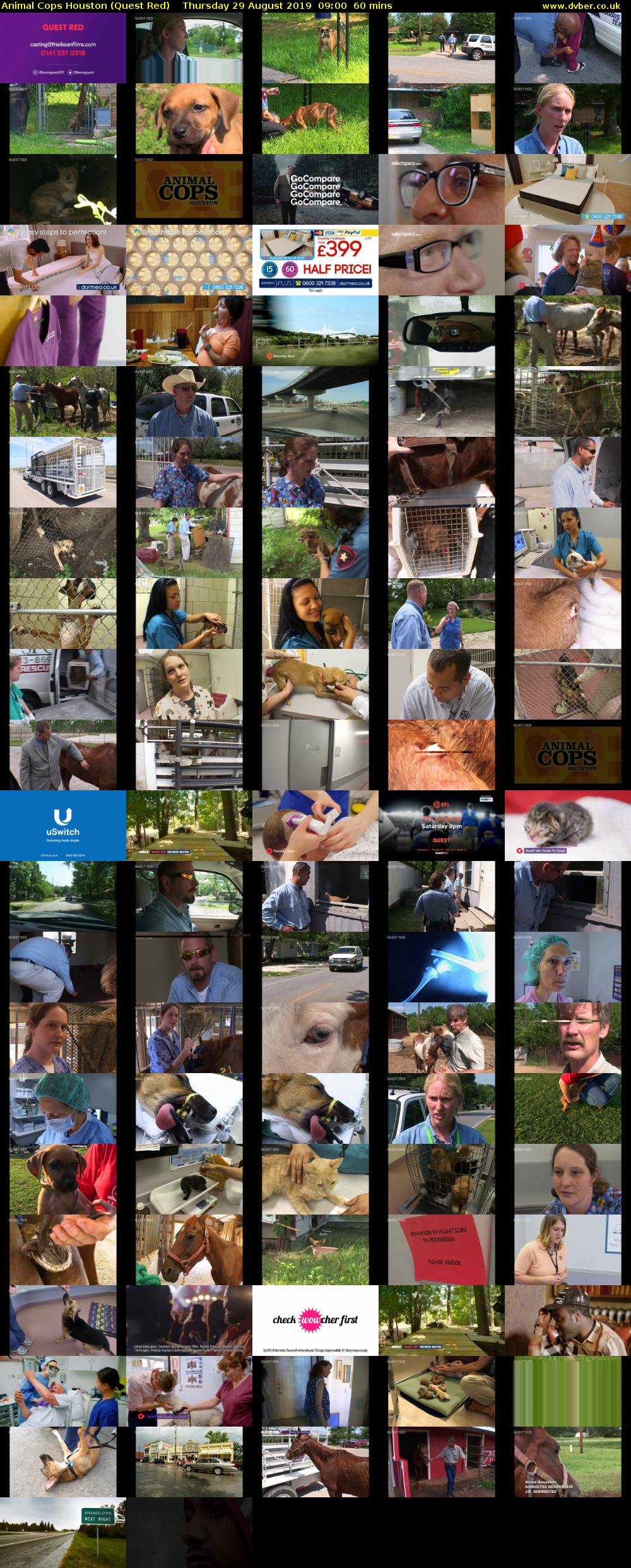 Animal Cops Houston (Quest Red) Thursday 29 August 2019 09:00 - 10:00