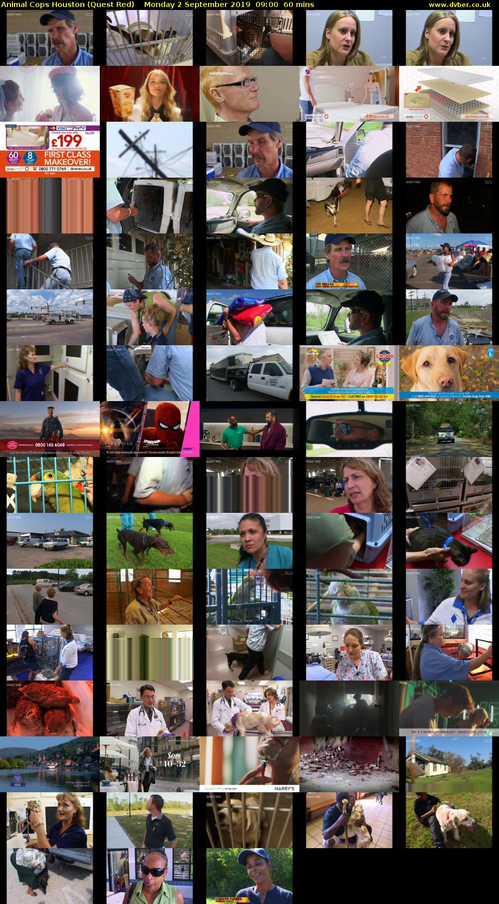Animal Cops Houston (Quest Red) Monday 2 September 2019 09:00 - 10:00