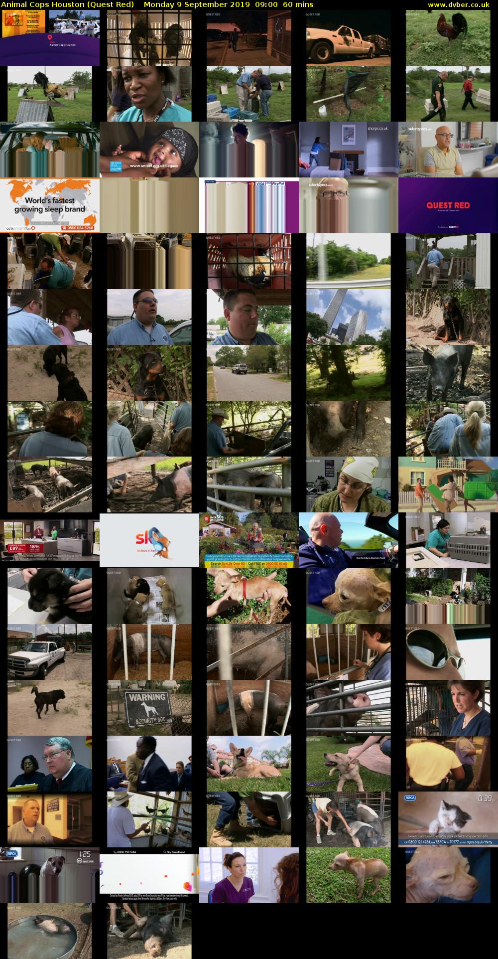 Animal Cops Houston (Quest Red) Monday 9 September 2019 09:00 - 10:00