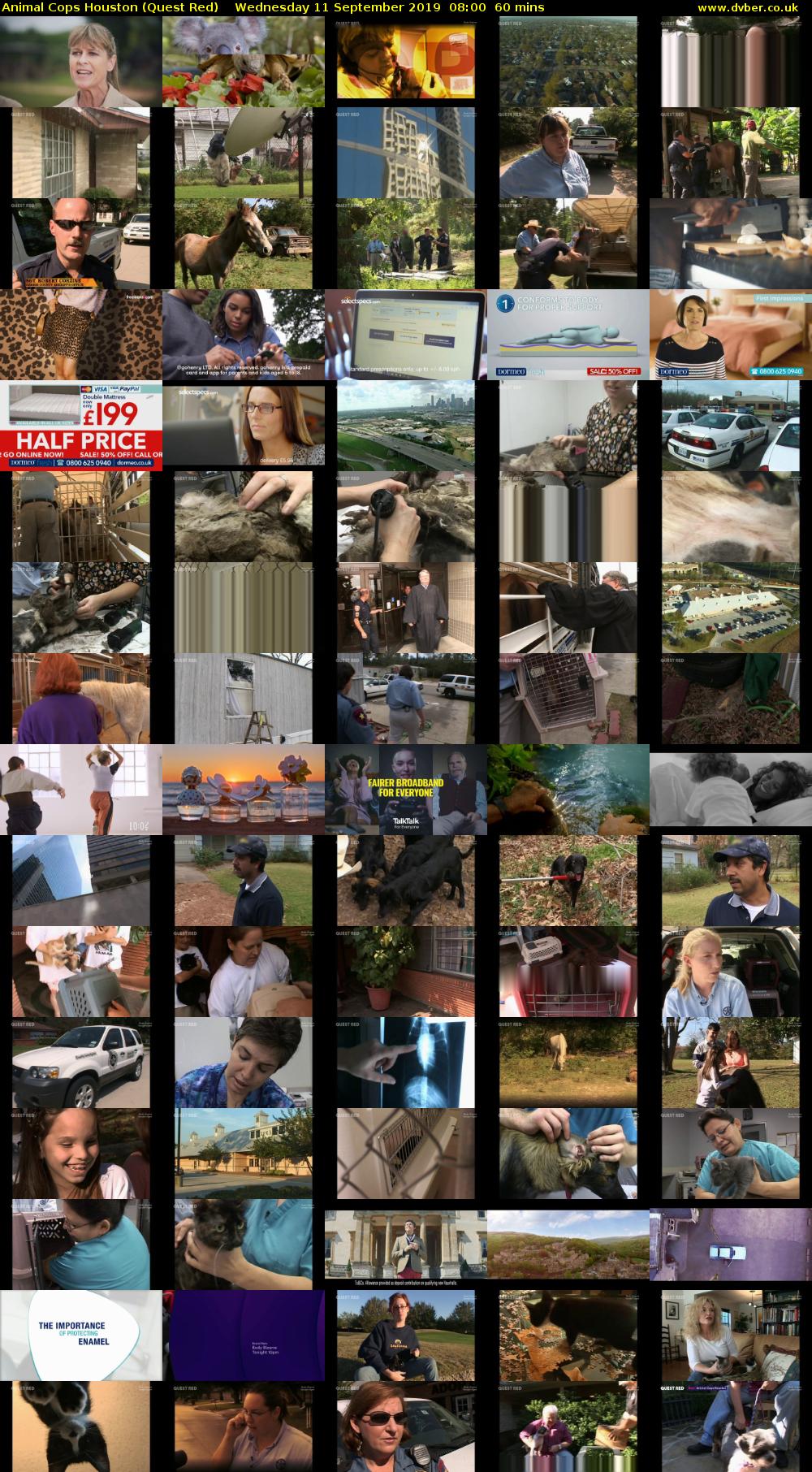 Animal Cops Houston (Quest Red) Wednesday 11 September 2019 08:00 - 09:00