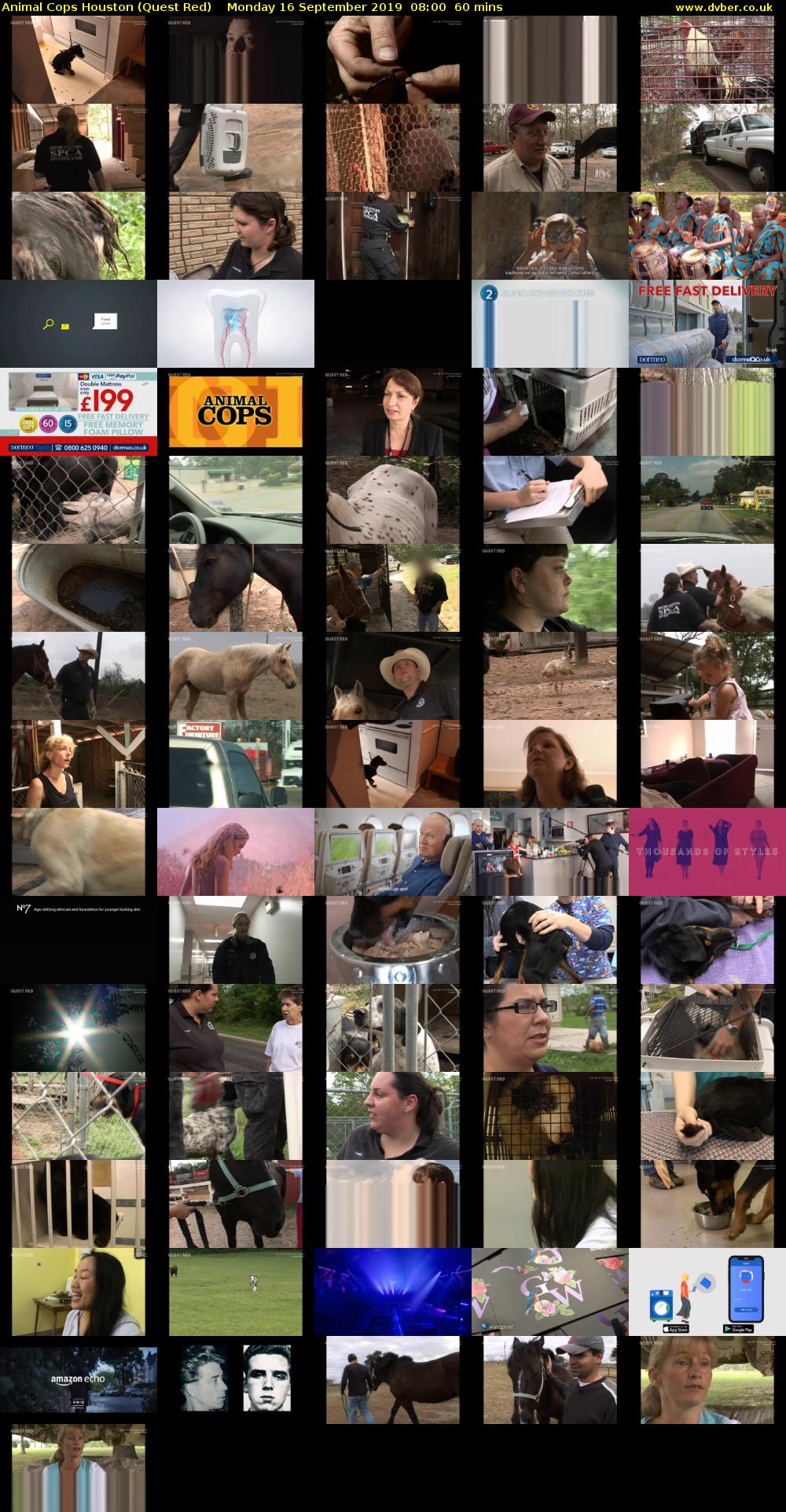 Animal Cops Houston (Quest Red) Monday 16 September 2019 08:00 - 09:00
