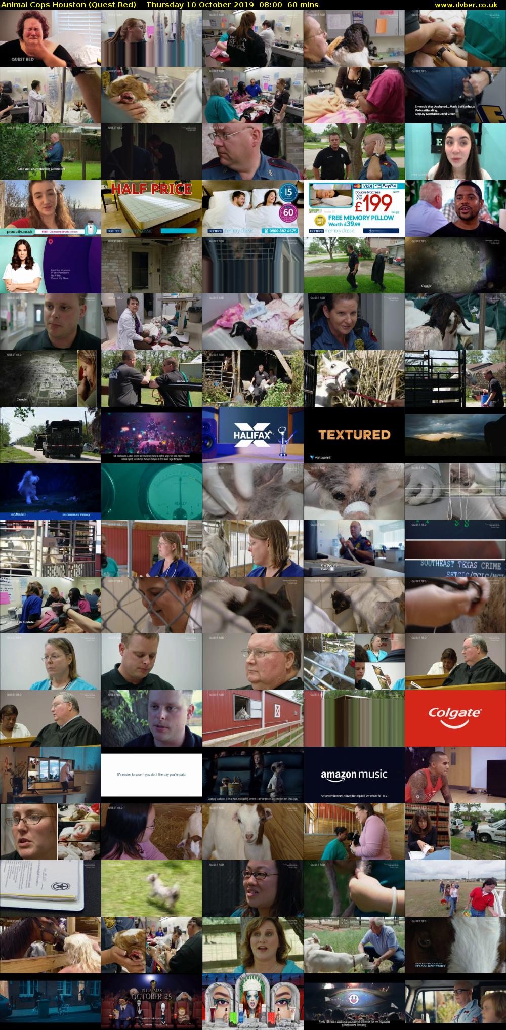 Animal Cops Houston (Quest Red) Thursday 10 October 2019 08:00 - 09:00
