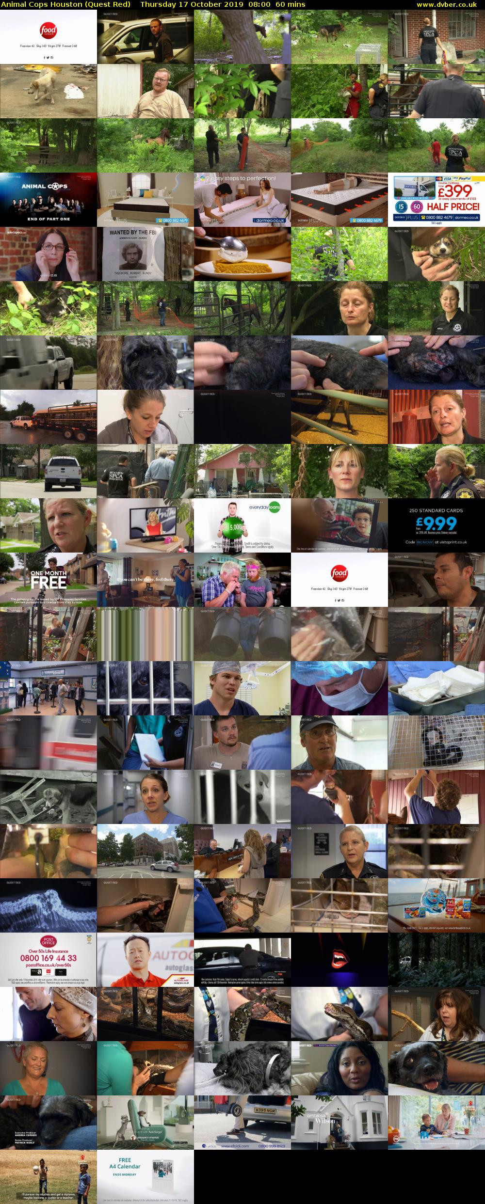 Animal Cops Houston (Quest Red) Thursday 17 October 2019 08:00 - 09:00