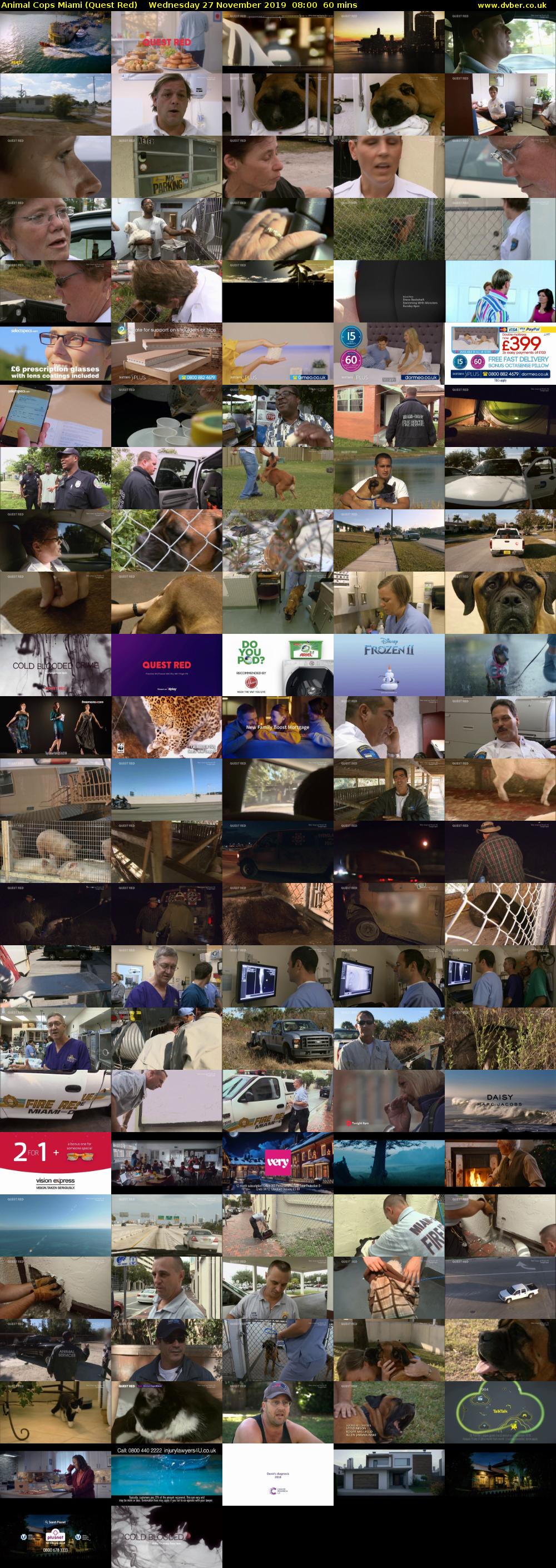 Animal Cops Miami (Quest Red) Wednesday 27 November 2019 08:00 - 09:00