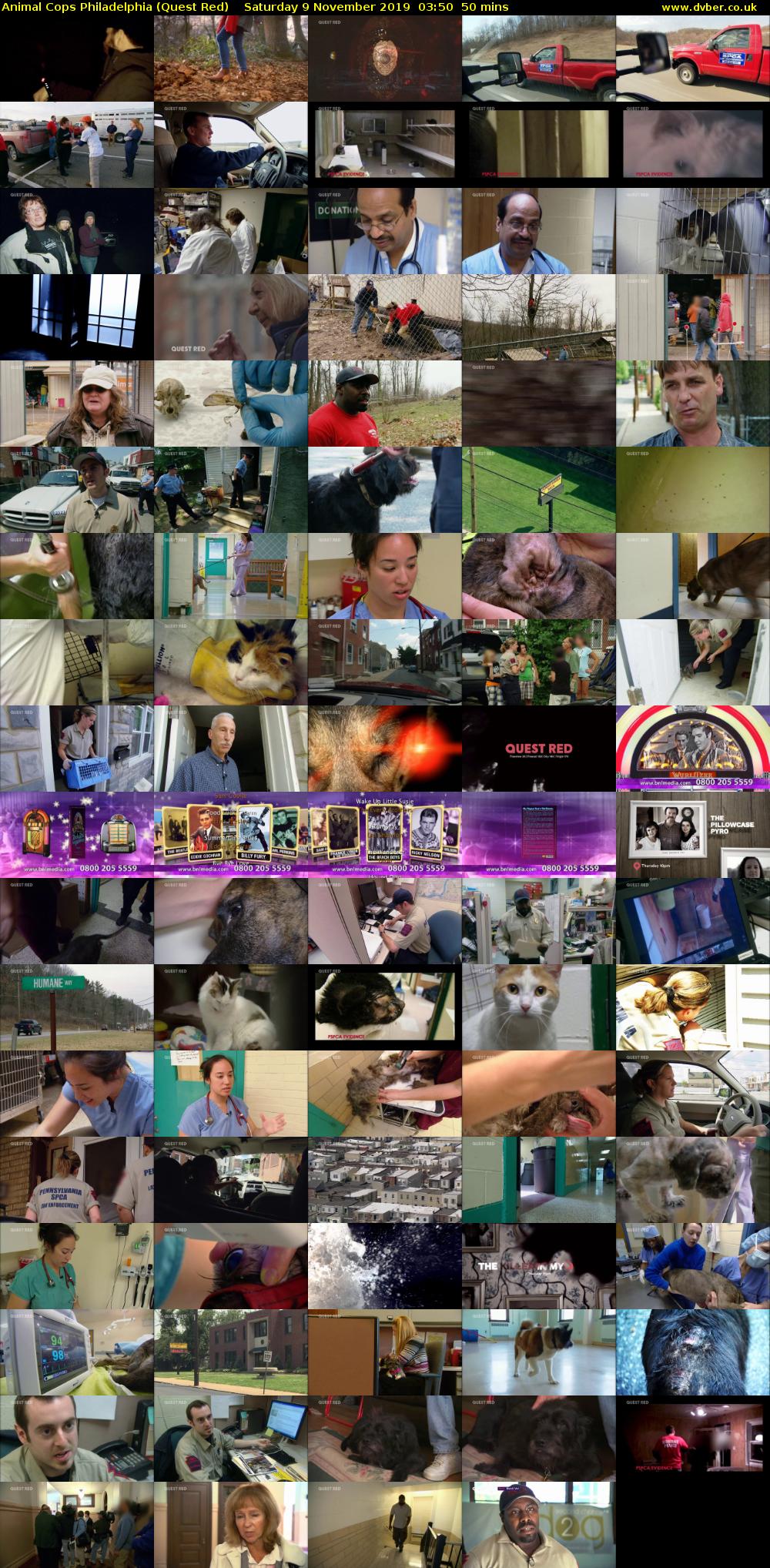 Animal Cops Philadelphia (Quest Red) Saturday 9 November 2019 03:50 - 04:40
