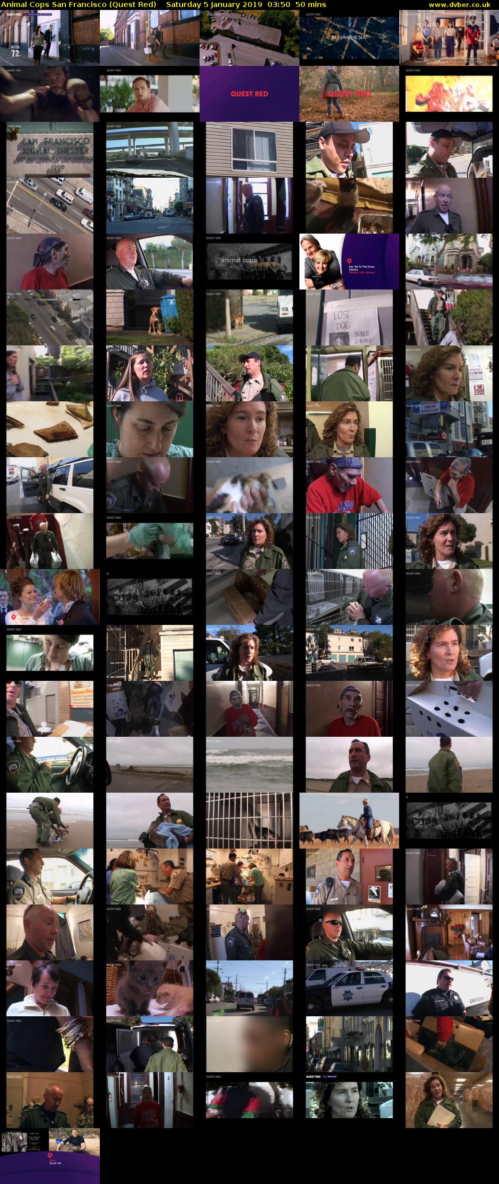 Animal Cops San Francisco (Quest Red) Saturday 5 January 2019 03:50 - 04:40