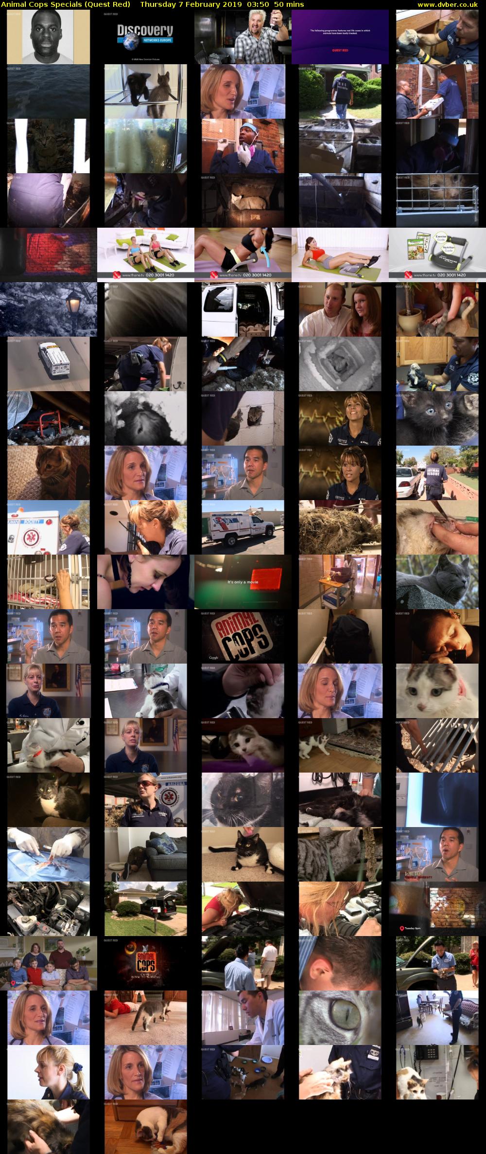 Animal Cops Specials (Quest Red) Thursday 7 February 2019 03:50 - 04:40