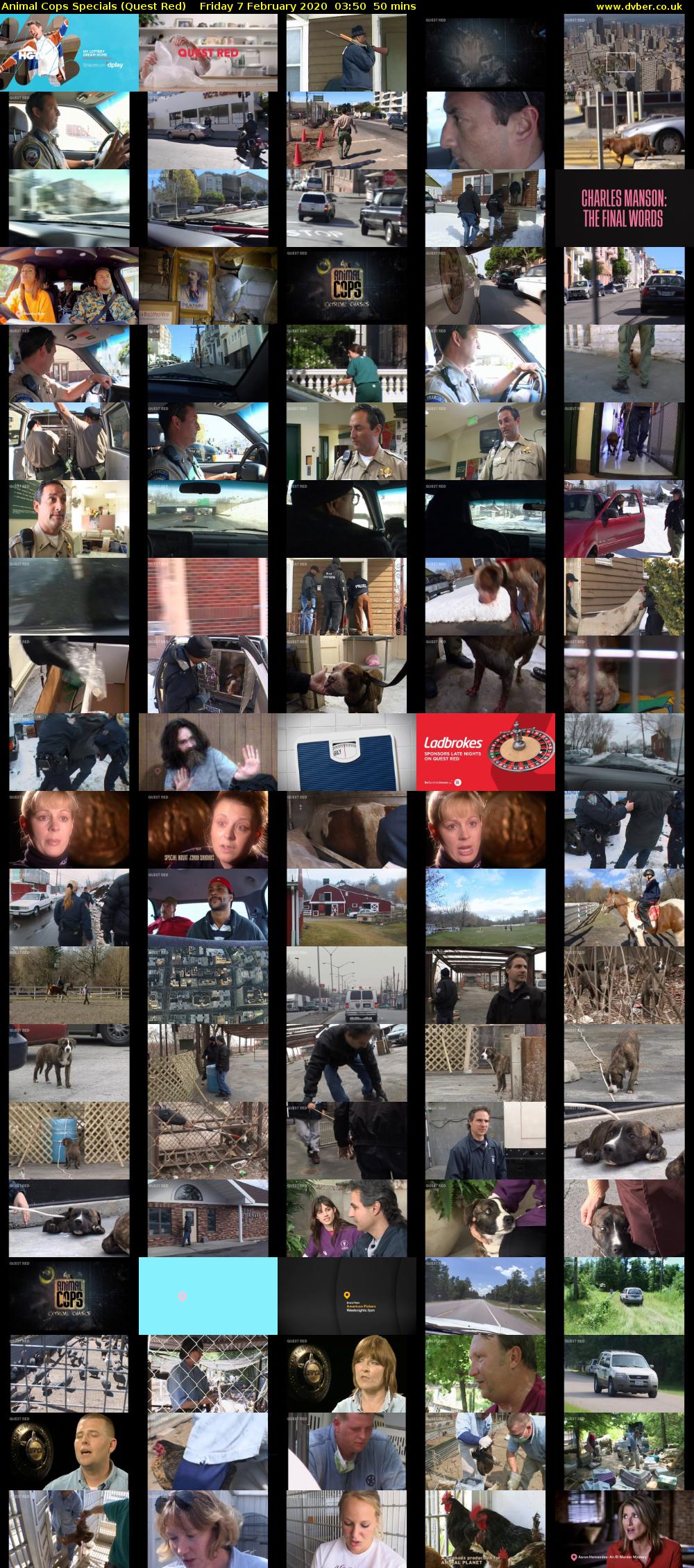 Animal Cops Specials (Quest Red) Friday 7 February 2020 03:50 - 04:40