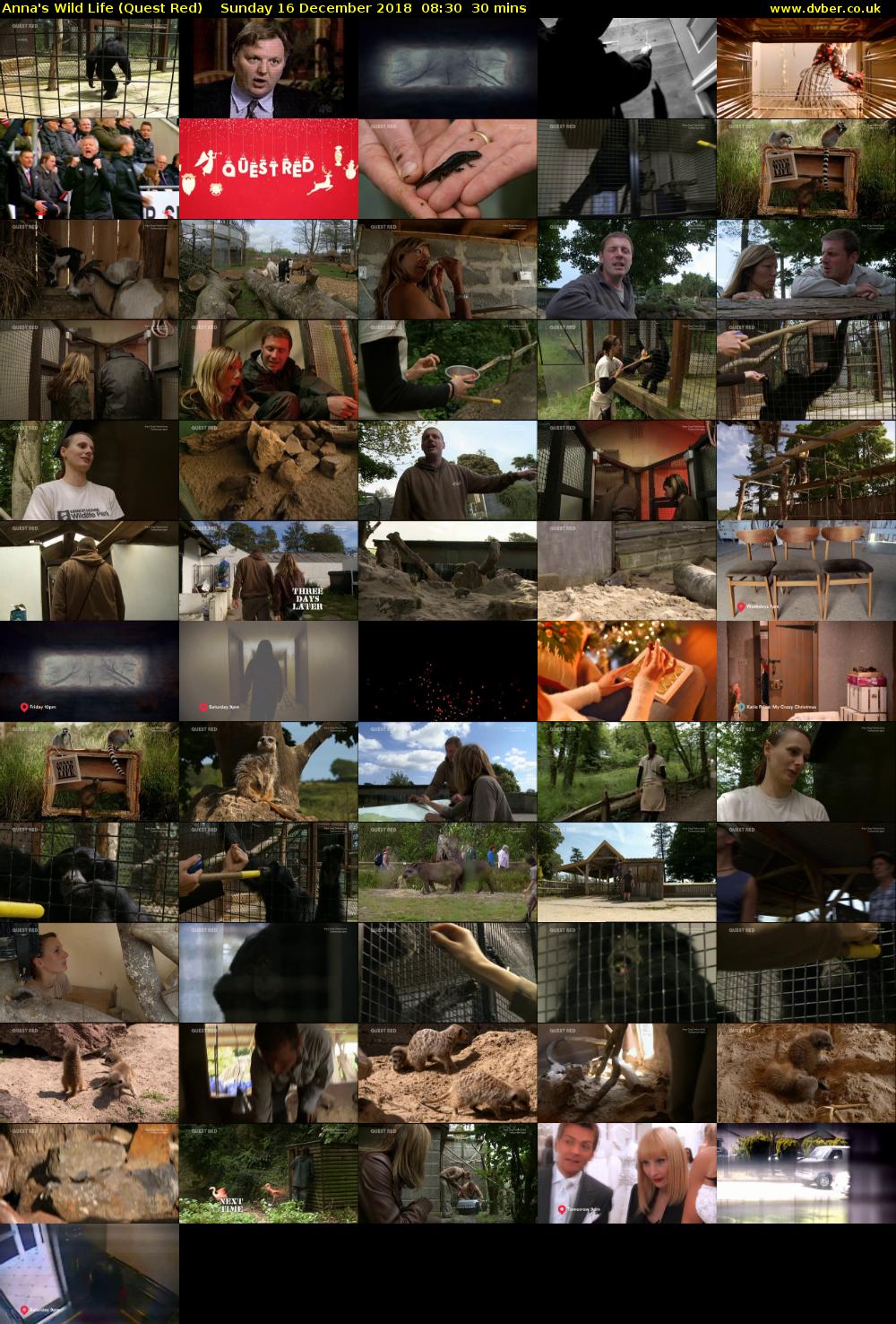 Anna's Wild Life (Quest Red) Sunday 16 December 2018 08:30 - 09:00
