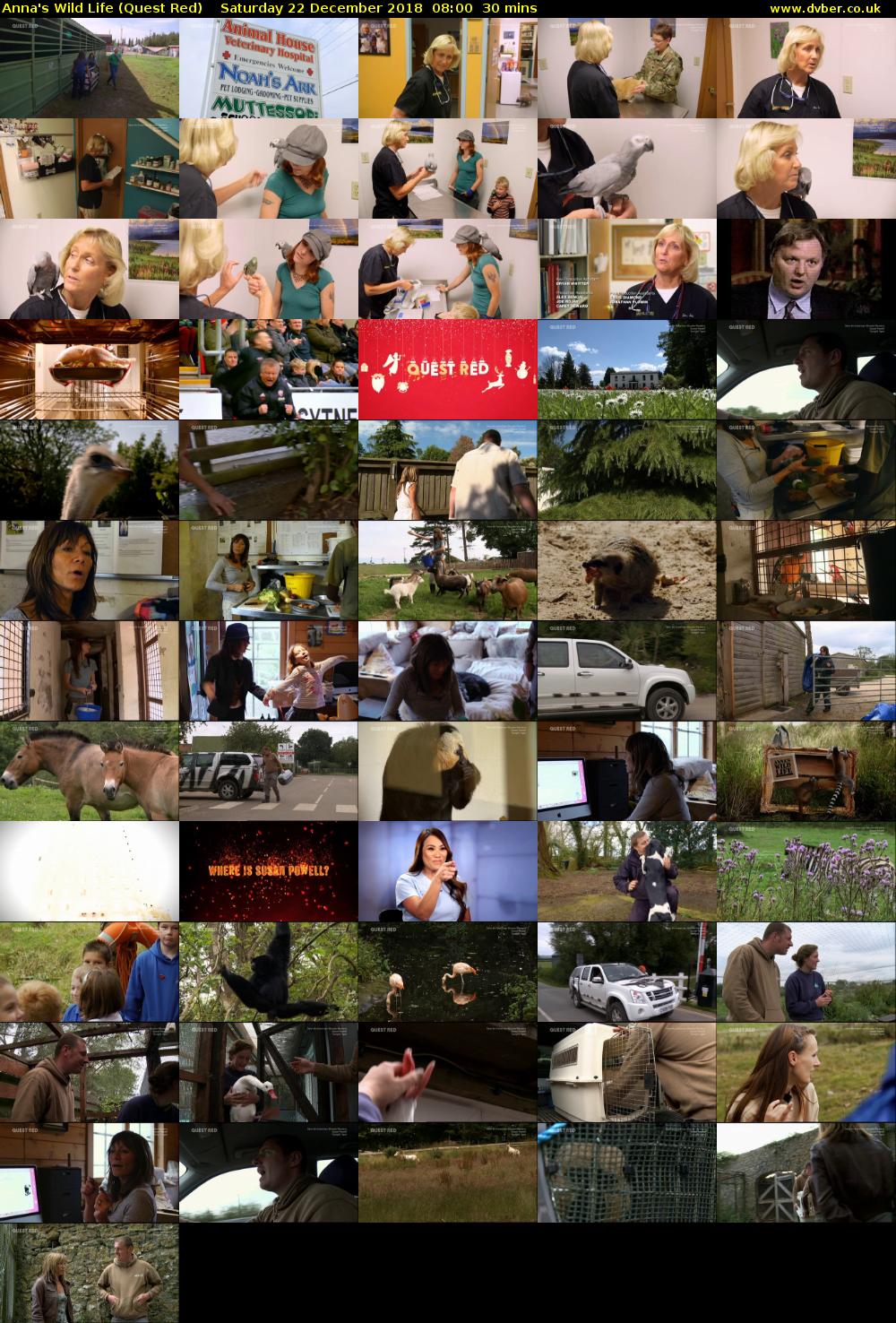 Anna's Wild Life (Quest Red) Saturday 22 December 2018 08:00 - 08:30