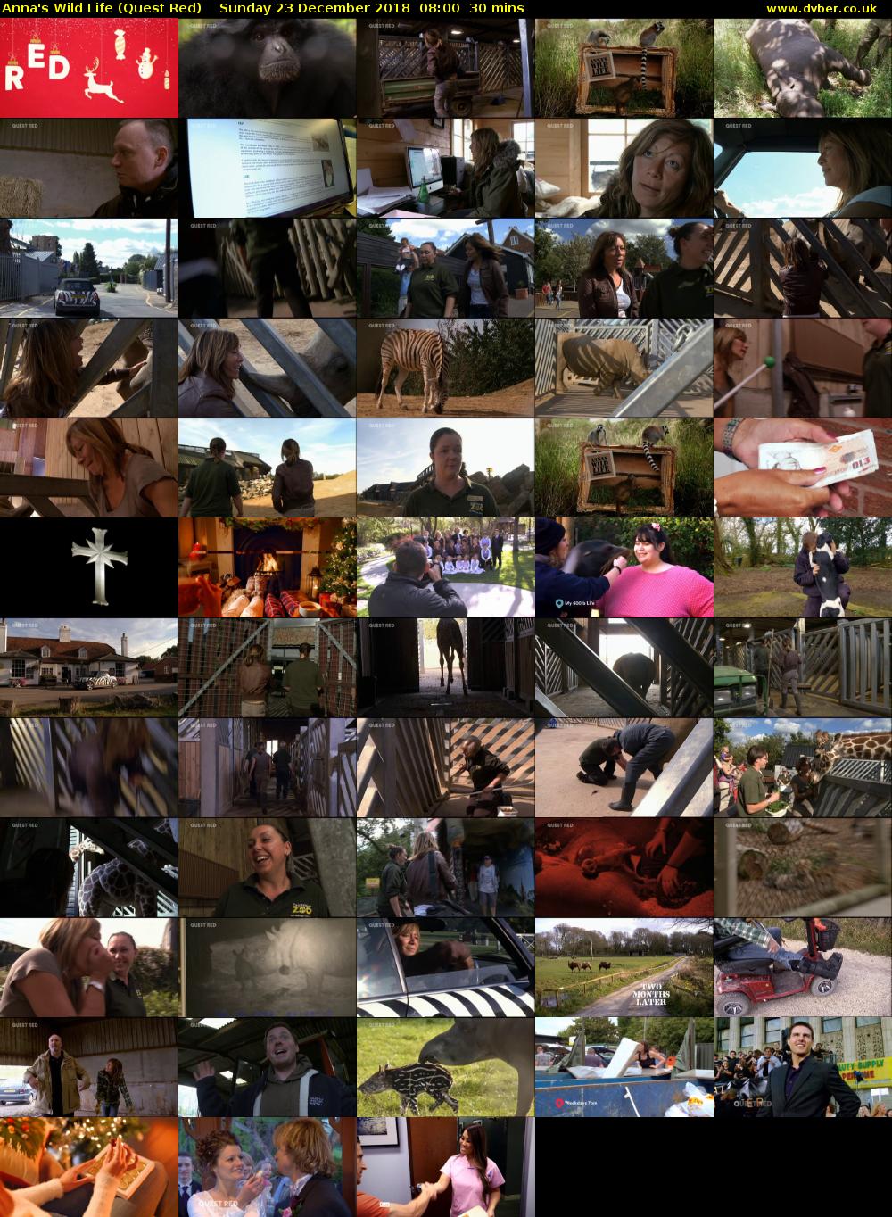Anna's Wild Life (Quest Red) Sunday 23 December 2018 08:00 - 08:30