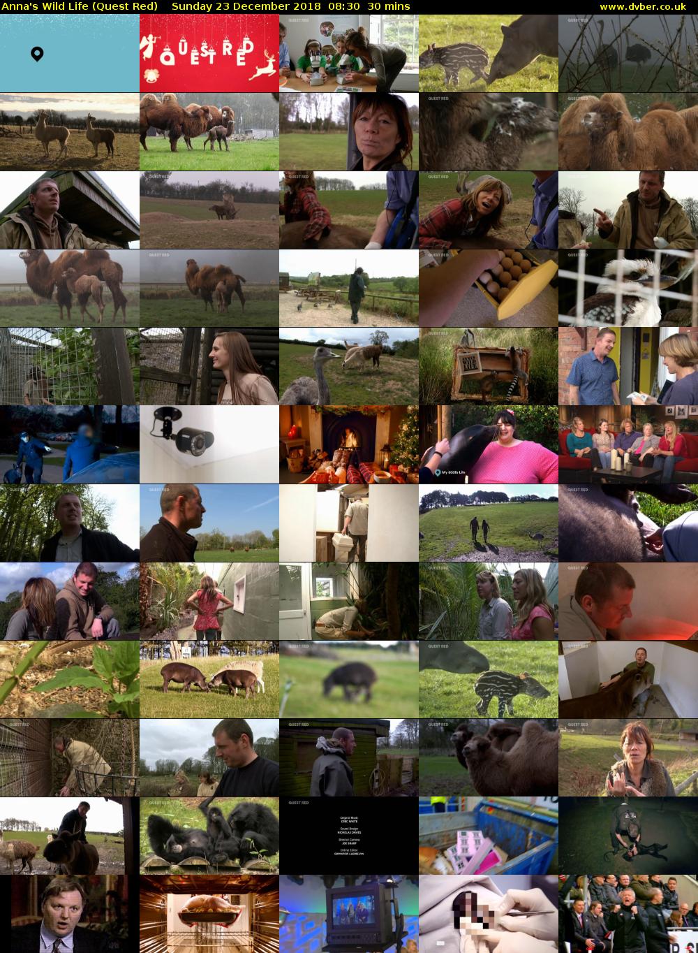 Anna's Wild Life (Quest Red) Sunday 23 December 2018 08:30 - 09:00