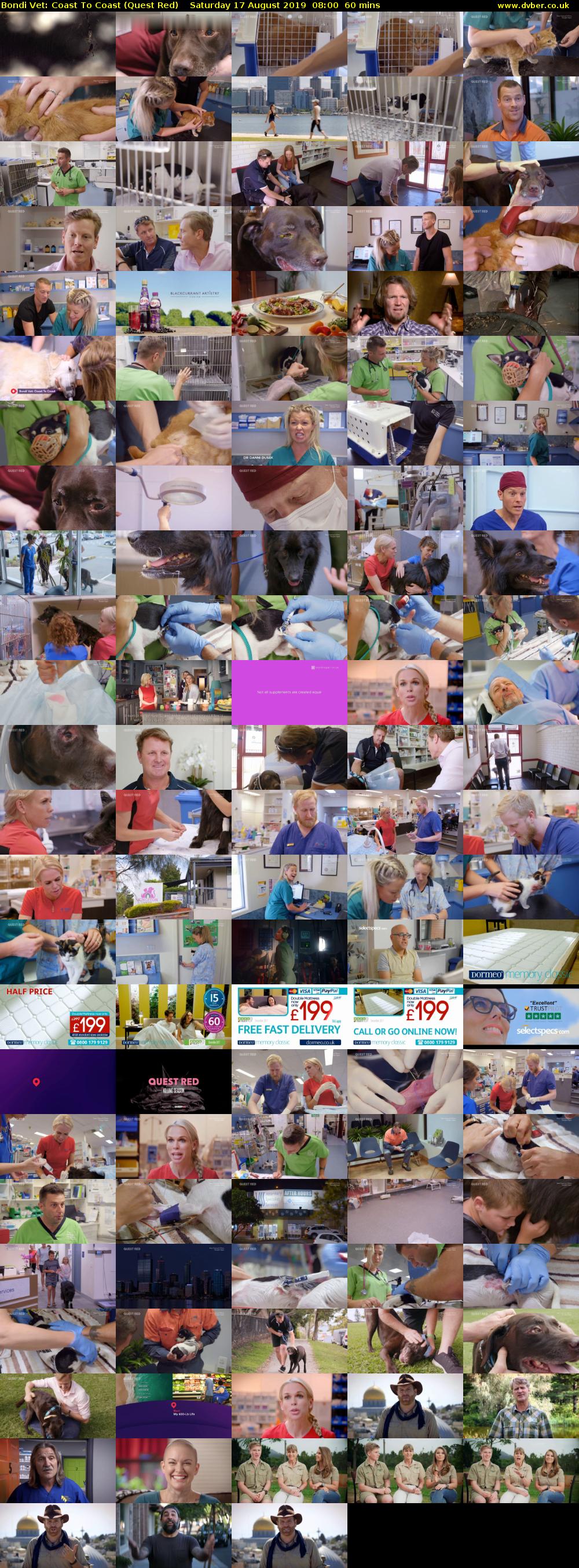 Bondi Vet: Coast To Coast (Quest Red) Saturday 17 August 2019 08:00 - 09:00