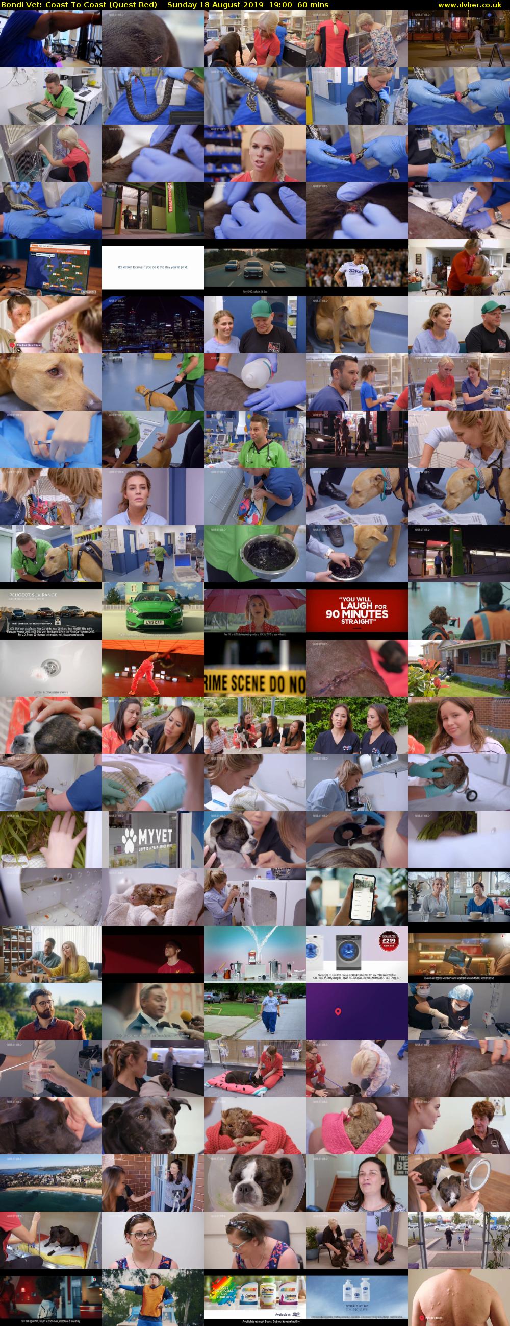 Bondi Vet: Coast To Coast (Quest Red) Sunday 18 August 2019 19:00 - 20:00