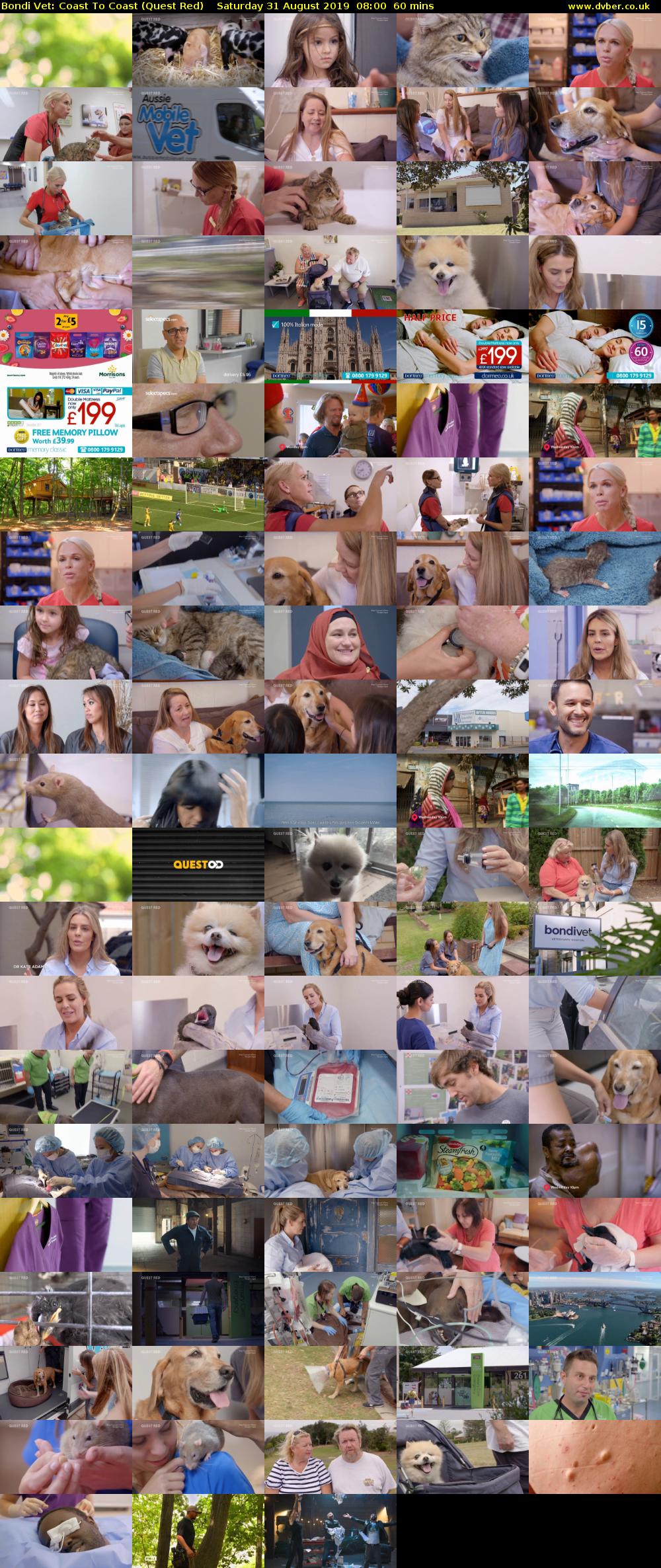 Bondi Vet: Coast To Coast (Quest Red) Saturday 31 August 2019 08:00 - 09:00
