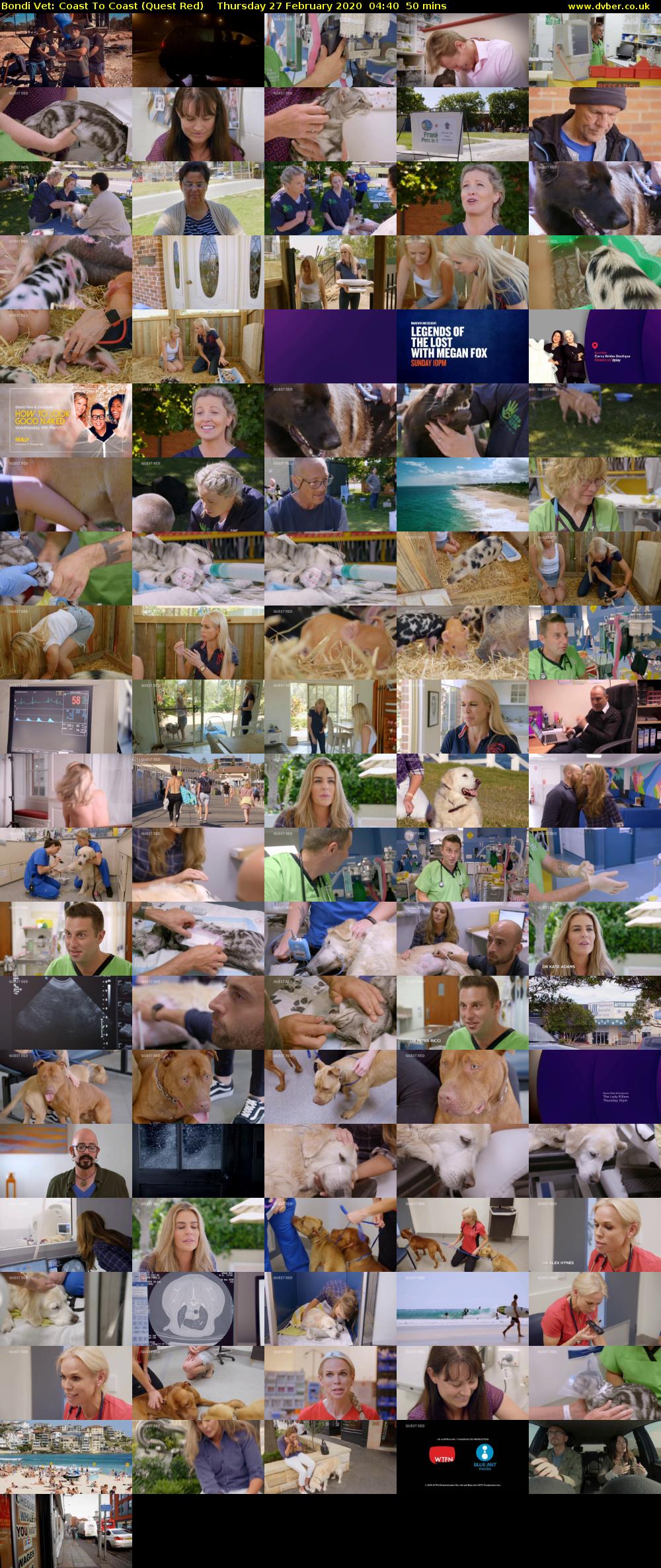 Bondi Vet: Coast To Coast (Quest Red) Thursday 27 February 2020 04:40 - 05:30