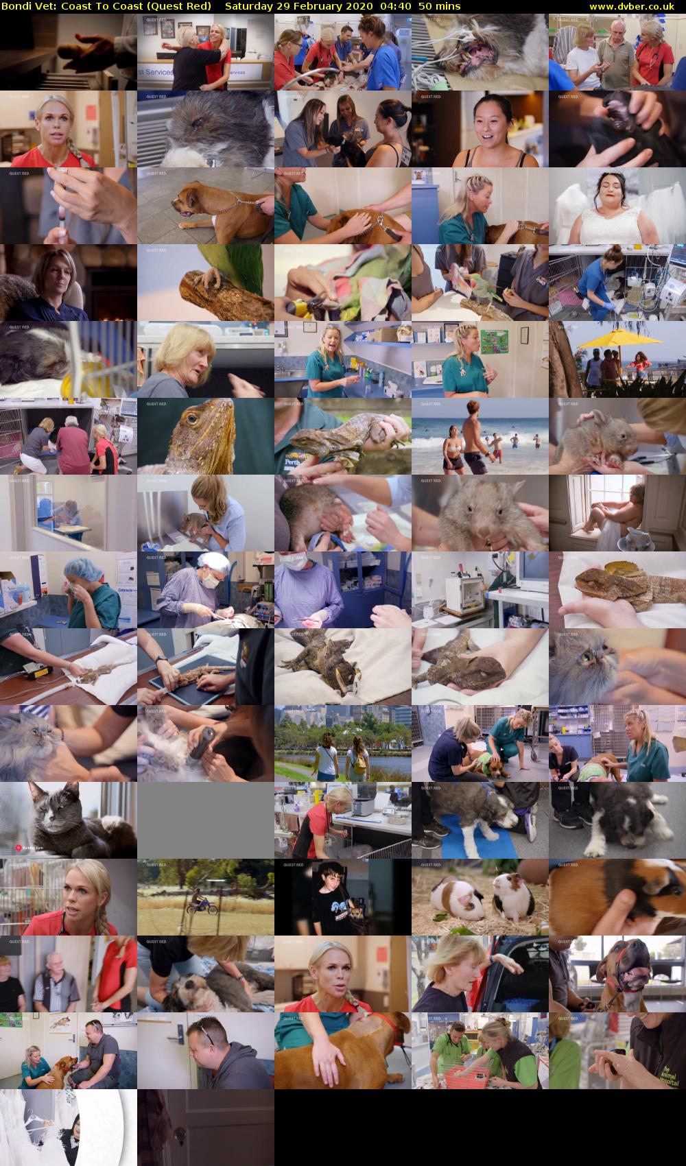 Bondi Vet: Coast To Coast (Quest Red) Saturday 29 February 2020 04:40 - 05:30