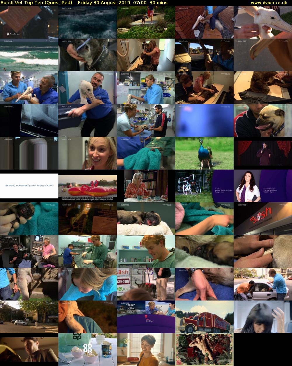 Bondi Vet Top Ten (Quest Red) Friday 30 August 2019 07:00 - 07:30
