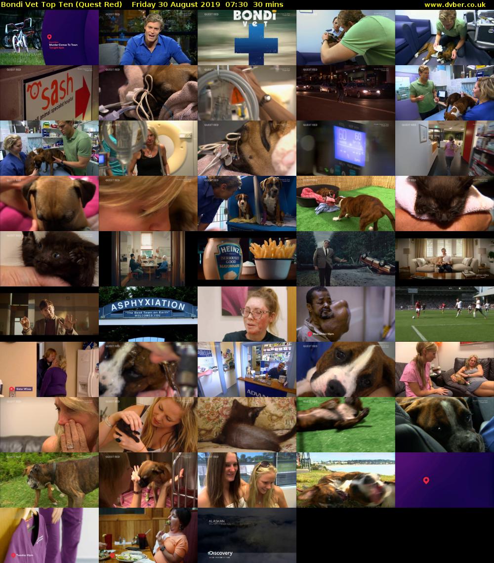 Bondi Vet Top Ten (Quest Red) Friday 30 August 2019 07:30 - 08:00