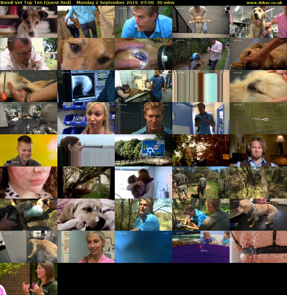 Bondi Vet Top Ten (Quest Red) Monday 2 September 2019 07:00 - 07:30