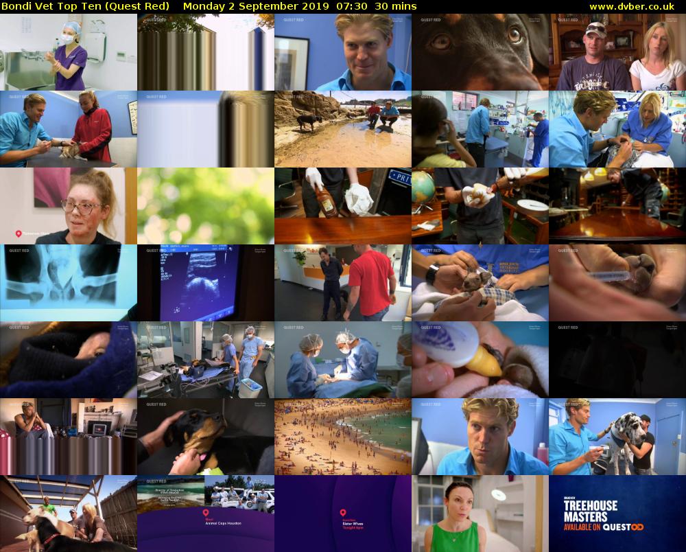 Bondi Vet Top Ten (Quest Red) Monday 2 September 2019 07:30 - 08:00