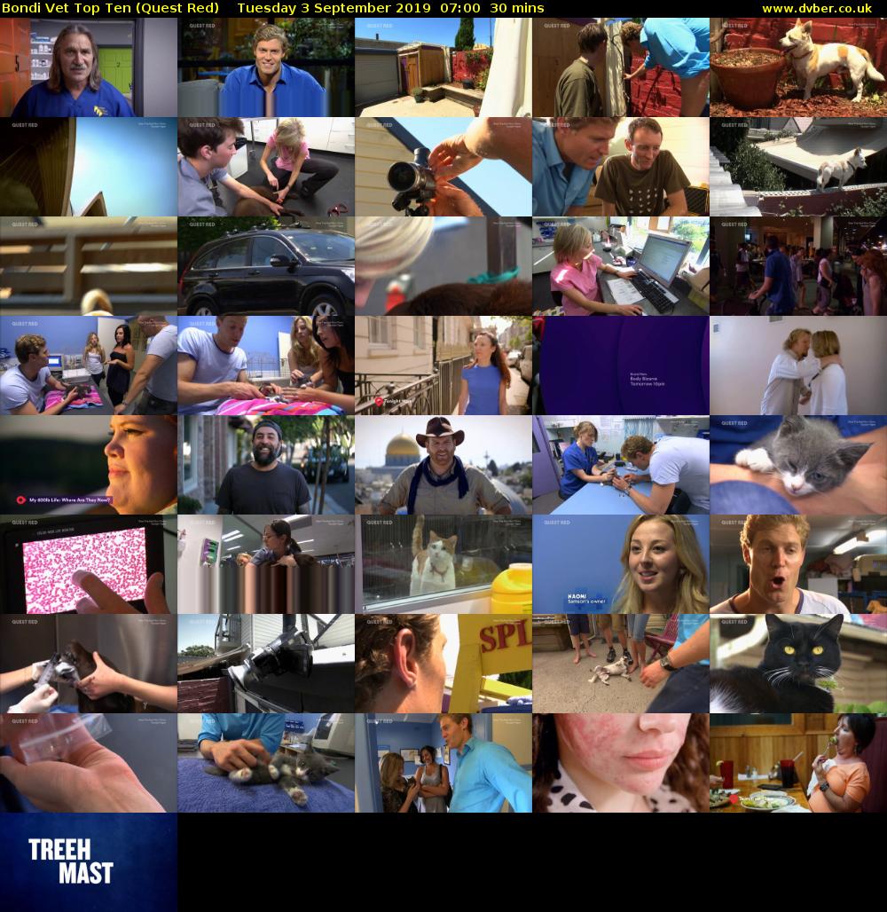 Bondi Vet Top Ten (Quest Red) Tuesday 3 September 2019 07:00 - 07:30