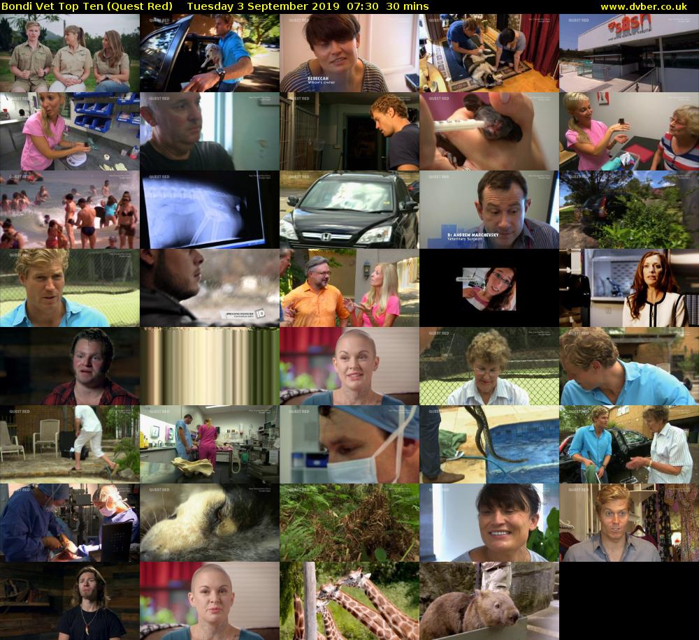 Bondi Vet Top Ten (Quest Red) Tuesday 3 September 2019 07:30 - 08:00