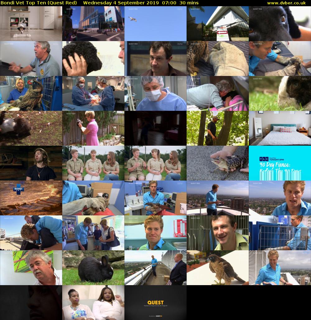 Bondi Vet Top Ten (Quest Red) Wednesday 4 September 2019 07:00 - 07:30