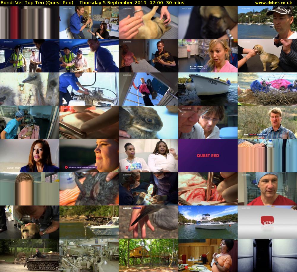 Bondi Vet Top Ten (Quest Red) Thursday 5 September 2019 07:00 - 07:30