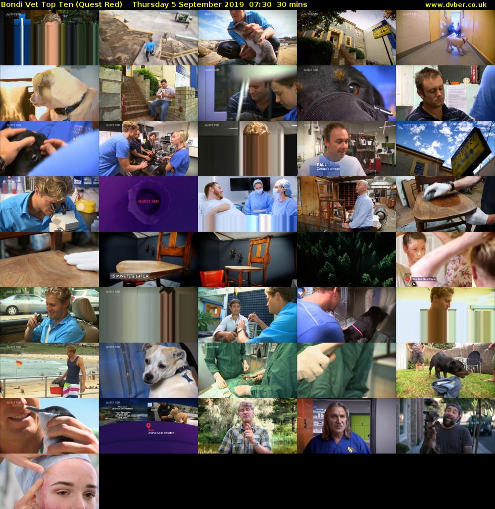 Bondi Vet Top Ten (Quest Red) Thursday 5 September 2019 07:30 - 08:00