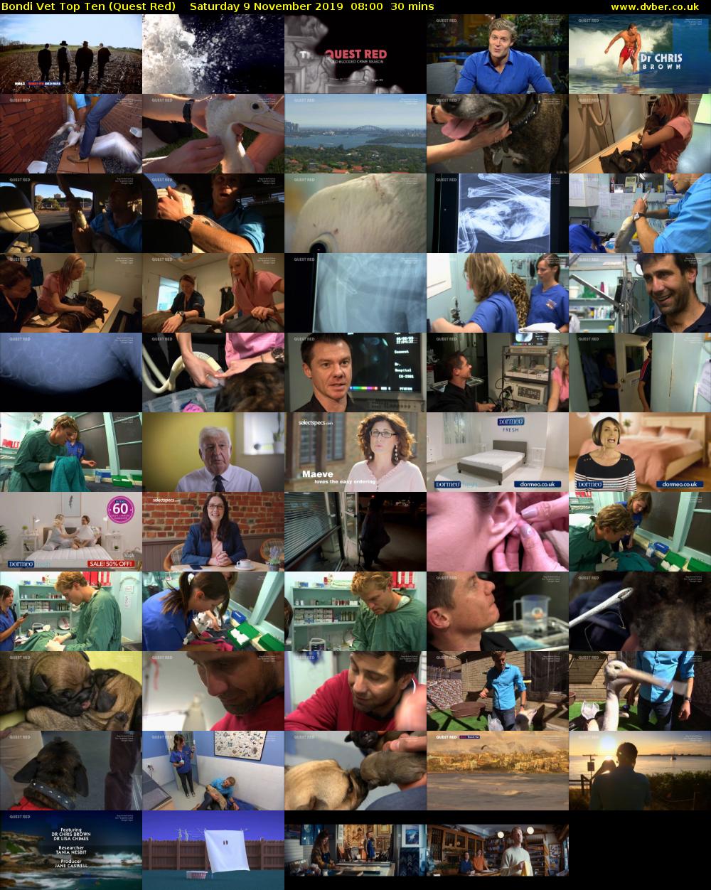 Bondi Vet Top Ten (Quest Red) Saturday 9 November 2019 08:00 - 08:30