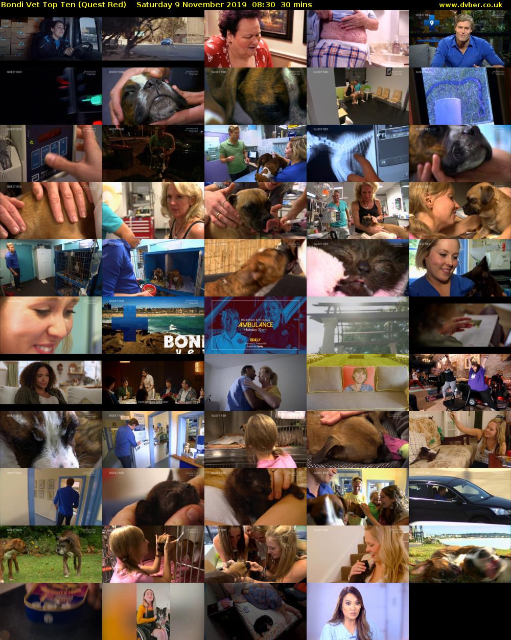Bondi Vet Top Ten (Quest Red) Saturday 9 November 2019 08:30 - 09:00
