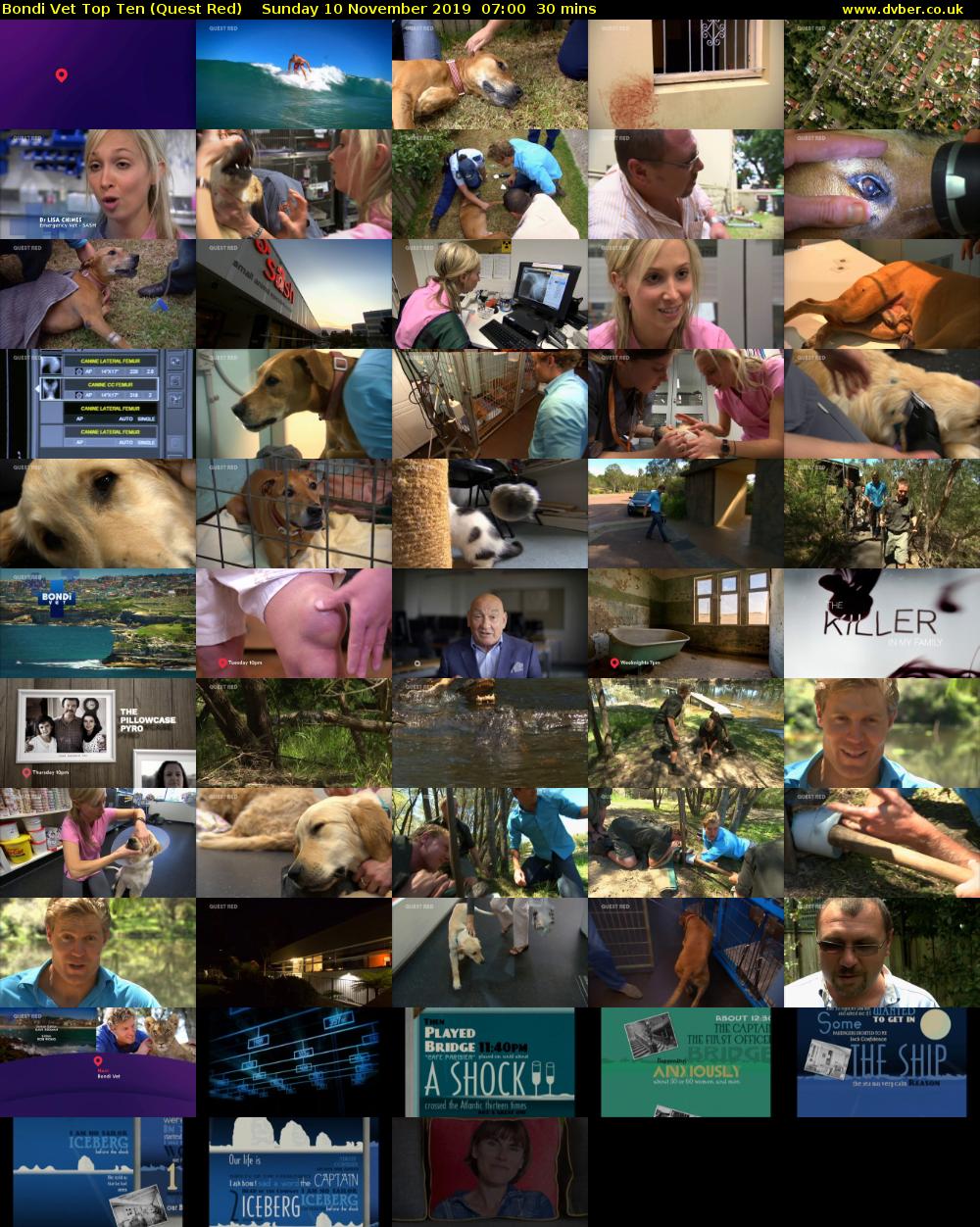 Bondi Vet Top Ten (Quest Red) Sunday 10 November 2019 07:00 - 07:30