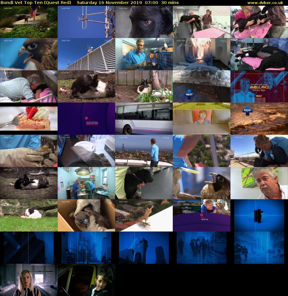 Bondi Vet Top Ten (Quest Red) Saturday 16 November 2019 07:00 - 07:30